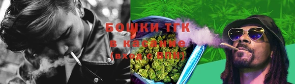 гашик Алексеевка