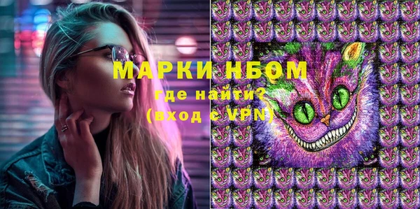 гашик Алексеевка
