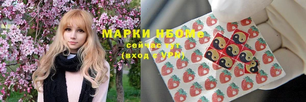 гашик Алексеевка