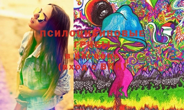 гашик Алексеевка