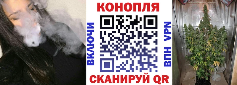 Конопля гибрид Лангепас